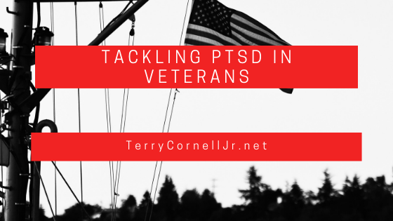 Tackling PTSD in Veterans
